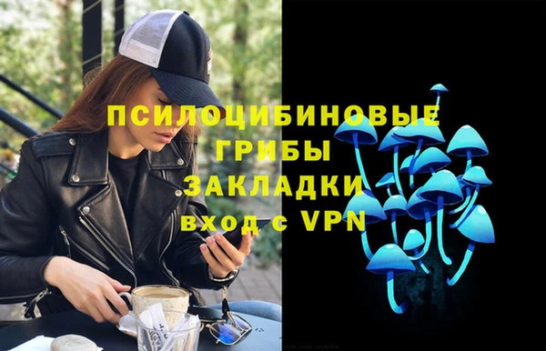 гидропоника Аркадак